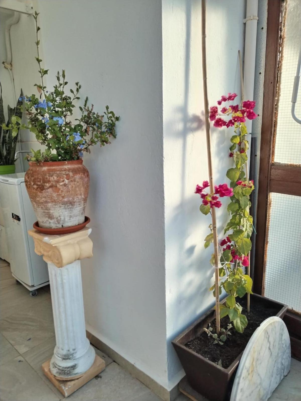 Atico Playa Cullera Apartment Bagian luar foto